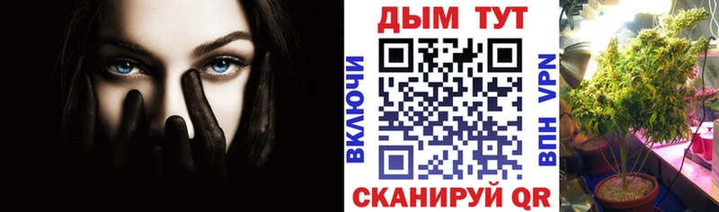 Канабис сатива  Окуловка 